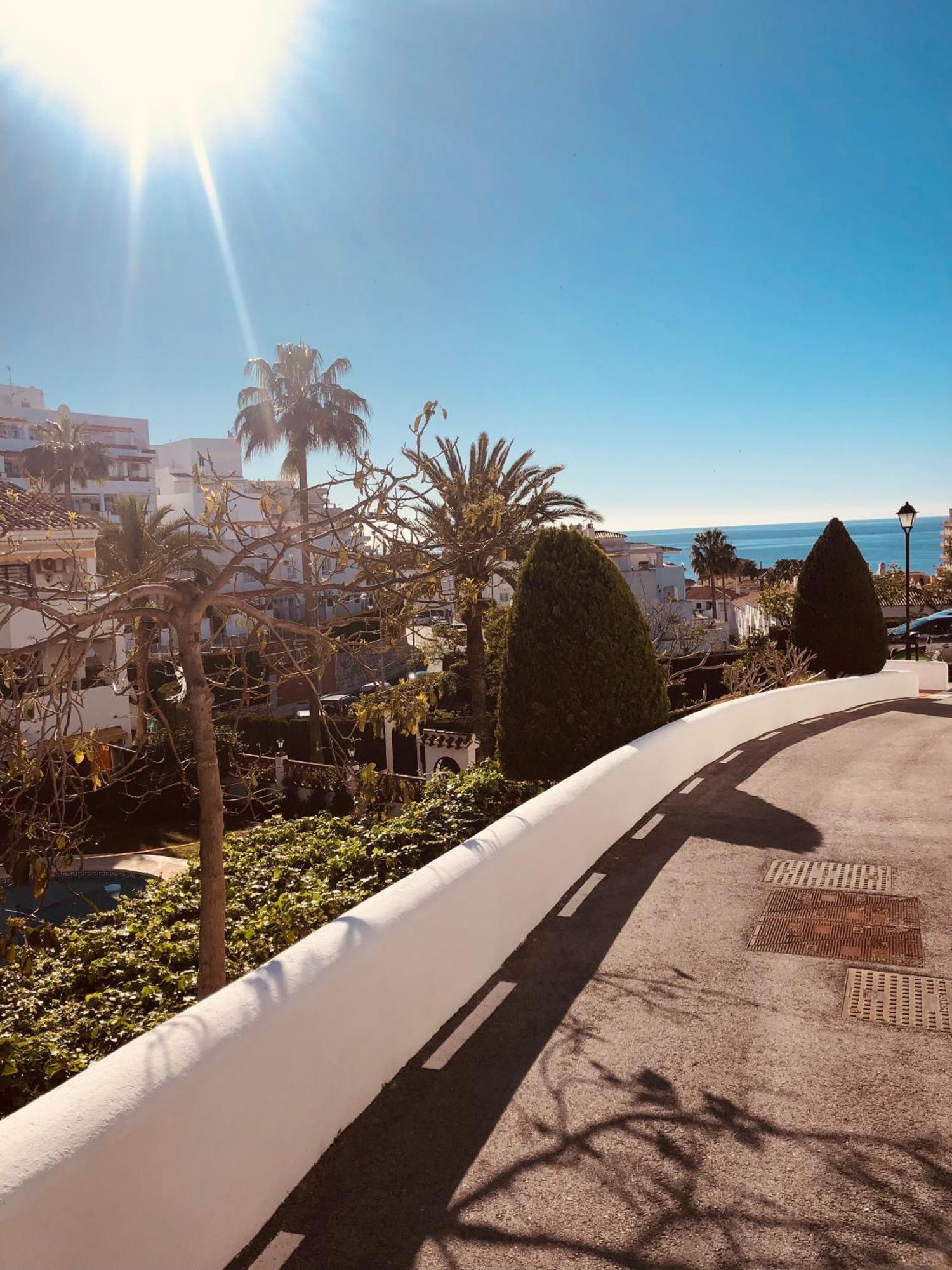 La Paloma *